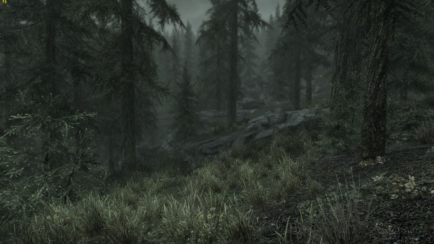 Skyrim Original (Screenshot: Marc Sauter/Golem.de)