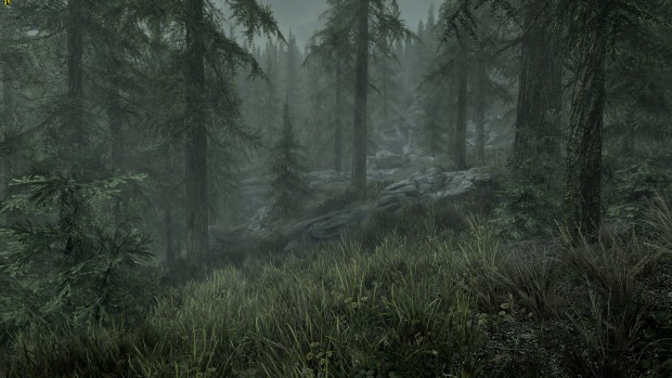 Skyrim Special Edition (Screenshot: Marc Sauter/Golem.de)