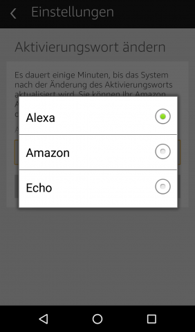 Mit einem dieser drei Signalwörter wird Echo aktiviert. (Screenshot: Golem.de)