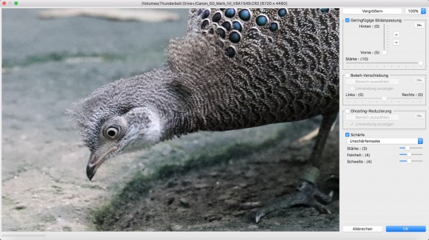 Digital Photo Professional - Canon Dual Pixel RAW Optimizer (Bild: Andreas Donath)