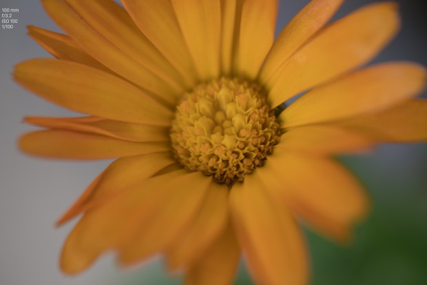 Foto Canon EOS 5D Mark IV (Bild: Andreas Donath)
