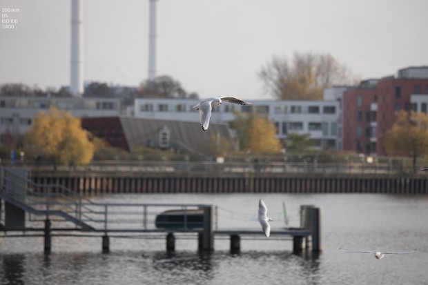 Foto Canon EOS 5D Mark IV (Bild: Andreas Donath)