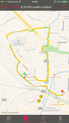 Die Route zeigt durch unterschiedliche Farben gleichzeitig die Pulsbelastung an. (Screenshot: Golem.de)