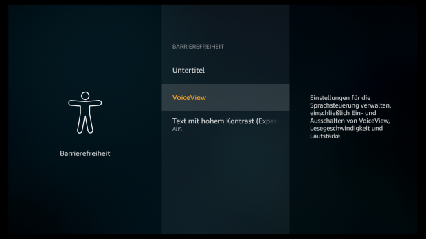 Voice View hat eher den Status einer Alphaversion. (Screenshot: Golem.de)