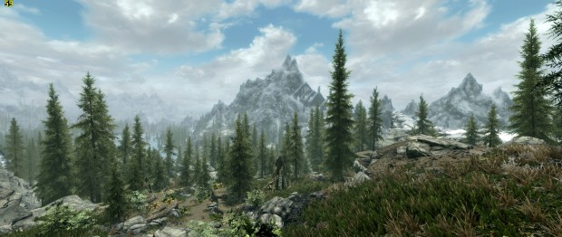Skyrim in 21:9 (Screenshot: Golem.de)