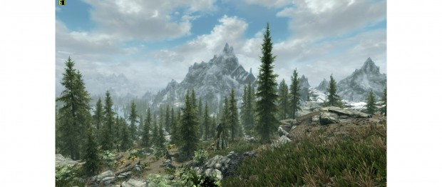Skyrim in 16:9 (Screenshot: Golem.de)