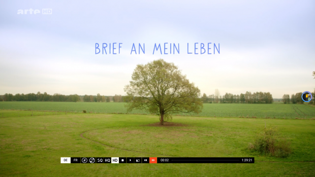 Die Arte-App zeigt dieses Bildschirmmenü, Spulen geht nur über das Menü. (Screenshot: Golem.de)