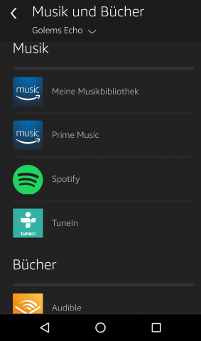 Mit diesen Diensten kann Musik gehört werden. (Screenshot: Golem.de)