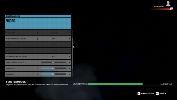 Das Videomenü der PC-Version ... (Screenshot: Golem.de)