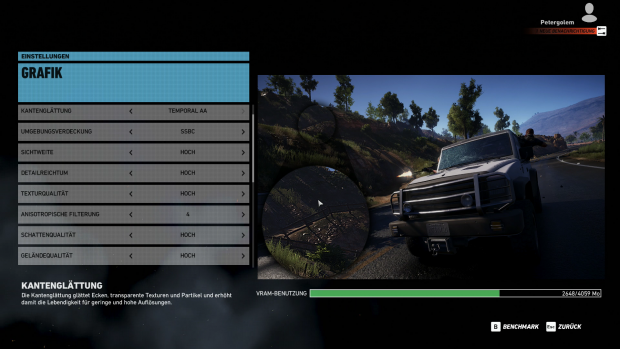 ... und die Grafik-Optionen (Screenshot: Golem.de)