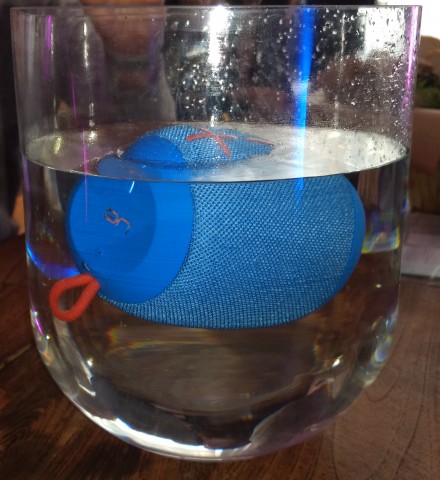 Lautsprecher im Wasserbad (Bild: Ingo Pakalski/Golem.de)