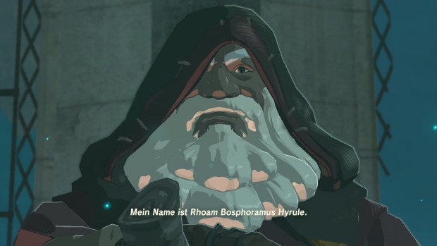 Zelda: Breath of Wild (Switch/Screenshot: Michael Wieczorek)