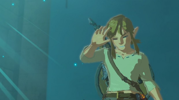 Zelda: Breath of Wild (Switch/Screenshot: Michael Wieczorek)