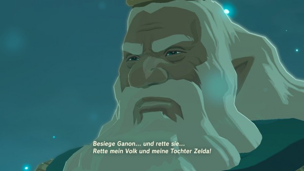 Zelda: Breath of Wild (Switch/Screenshot: Michael Wieczorek)