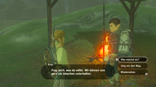 Zelda: Breath of Wild (Switch/Screenshot: Michael Wieczorek)