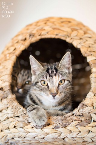 Testfoto Leica TL (Bild: Andreas Donath)