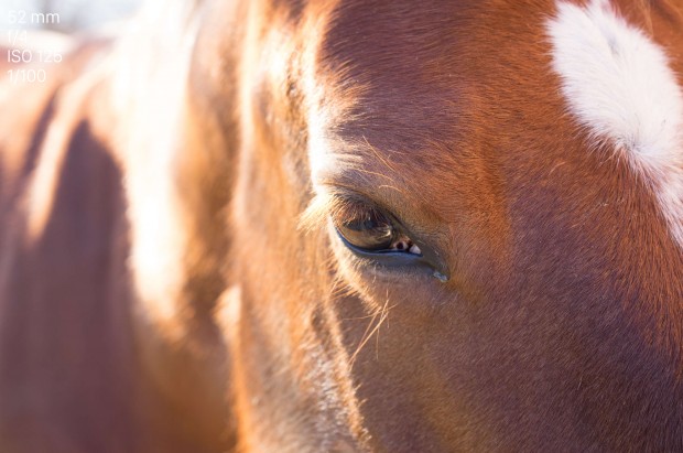 Testfoto Leica TL (Bild: Andreas Donath)