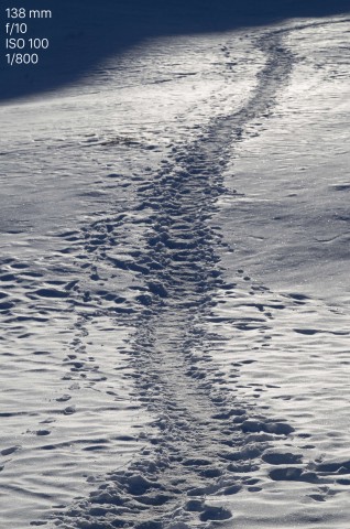 Testfoto Leica TL (Bild: Andreas Donath)