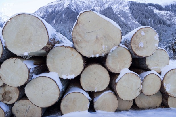 Testfoto Leica TL (Bild: Andreas Donath)