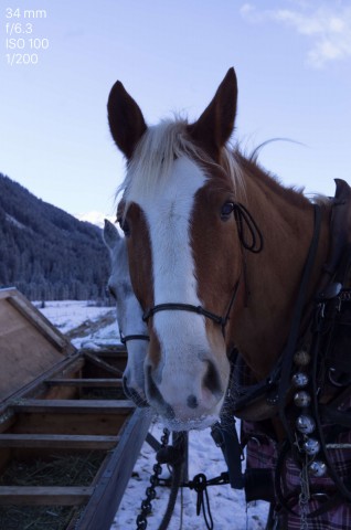 Testfoto Leica TL (Bild: Andreas Donath)