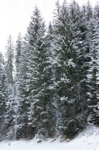 Testfoto Leica TL (Bild: Andreas Donath)