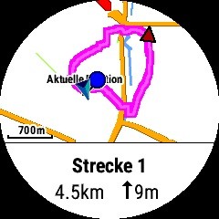 Die Strecke kann man akzeptieren, oder eine weitere berechnen lassen. (Screenshot: Golem.de)