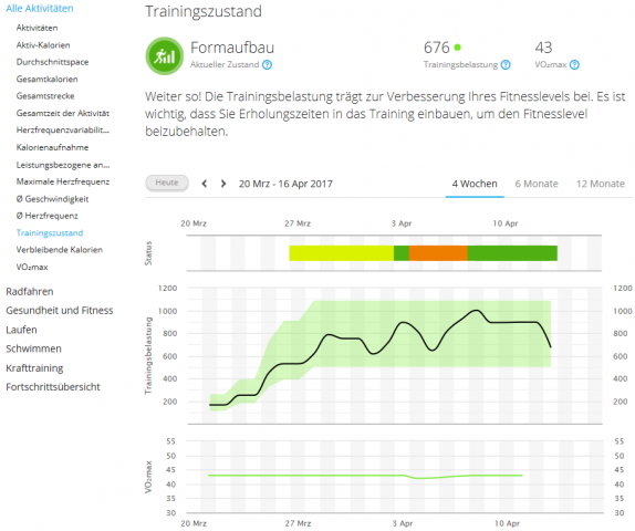 Im Browser sieht der Traingszustand auf Garmin Connect so aus. (Screenshot: Golem.de)