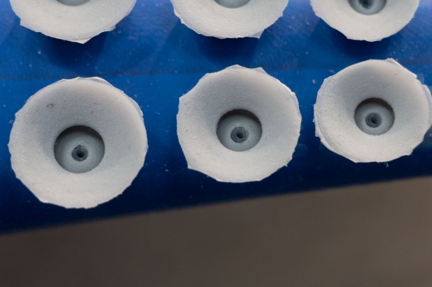 Einiger seiner Saugnäpfe sind aktiv, sie arbeiten mit Unterdruck. (Foto: Werner Pluta/Golem.de)