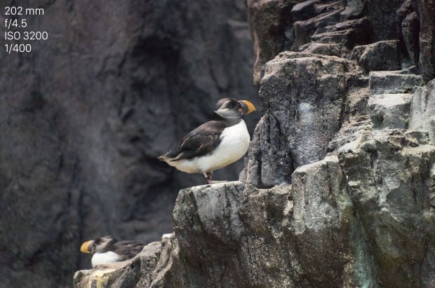 Leica TL Testfoto (Bild: Andreas Donath)