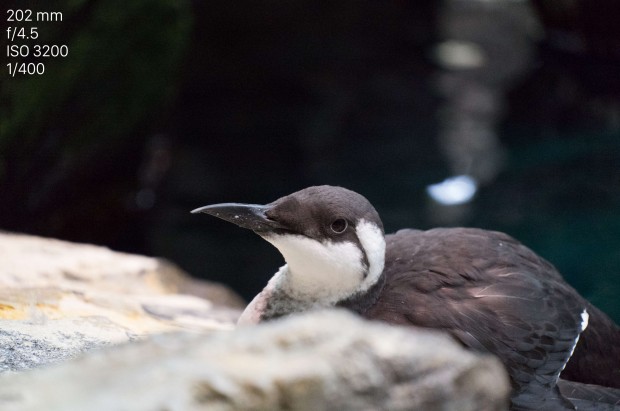 Leica TL Testfoto (Bild: Andreas Donath)