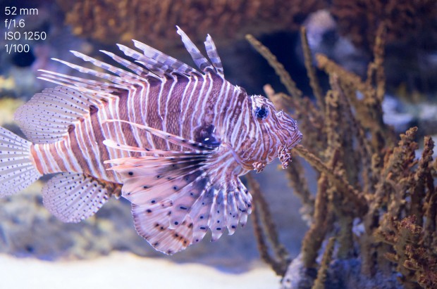 Leica TL Testfoto (Bild: Andreas Donath)