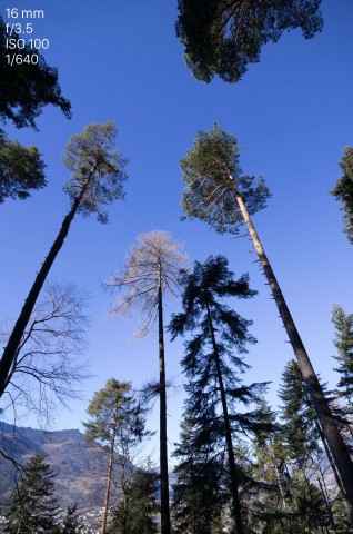 Leica TL Testfoto (Bild: Andreas Donath)