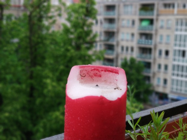 Auch bei nichtmenschlichen Motiven können wir den Porträtmodus verwenden, um den Hintergrund freizustellen. (Bild: Tobias Költzsch/Golem.de)