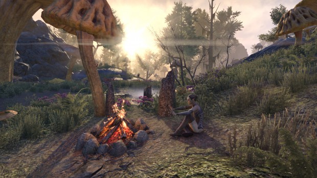 Impressionen aus TESO Morrowind (Bild: Bethesda/Screenshot: Golem.de)