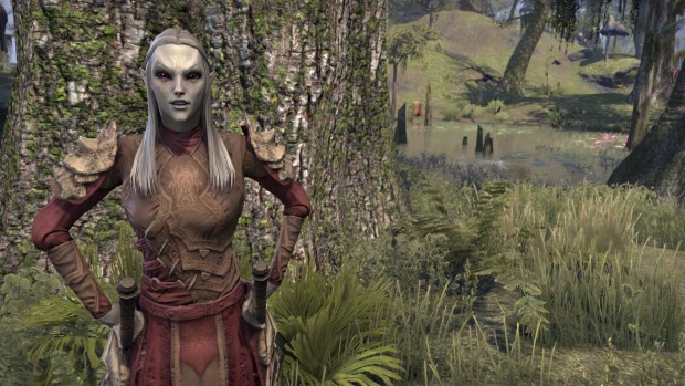 Impressionen aus TESO Morrowind (Bild: Bethesda/Screenshot: Golem.de)