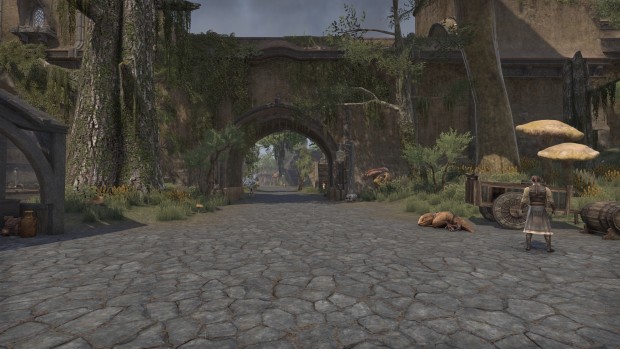 Impressionen aus TESO Morrowind (Bild: Bethesda/Screenshot: Golem.de)