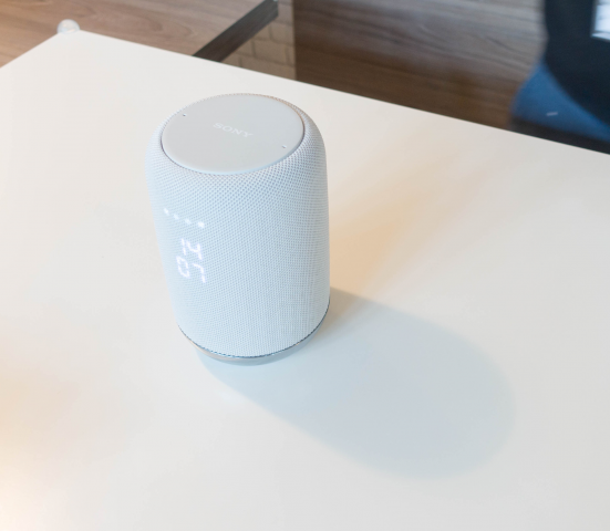 Sony LF-S50G (Bild: Ingo Pakalski/Golem.de)