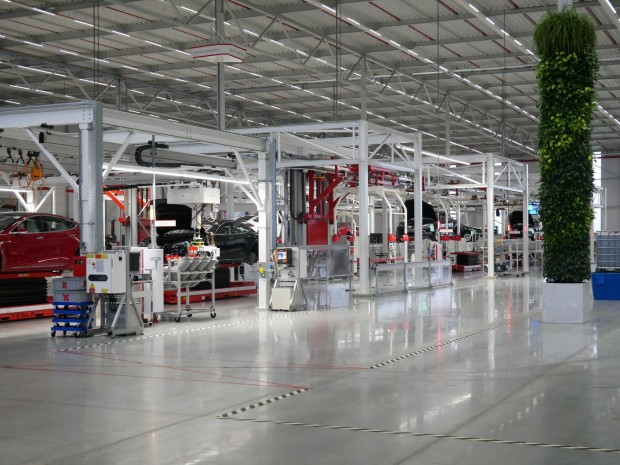 Es gibt sogar Pflanzen. (Foto: Dirk Kunde)