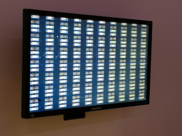 Die einzelnen Pixel von The Wall (Bild: Tobias Költzsch/Golem.de)