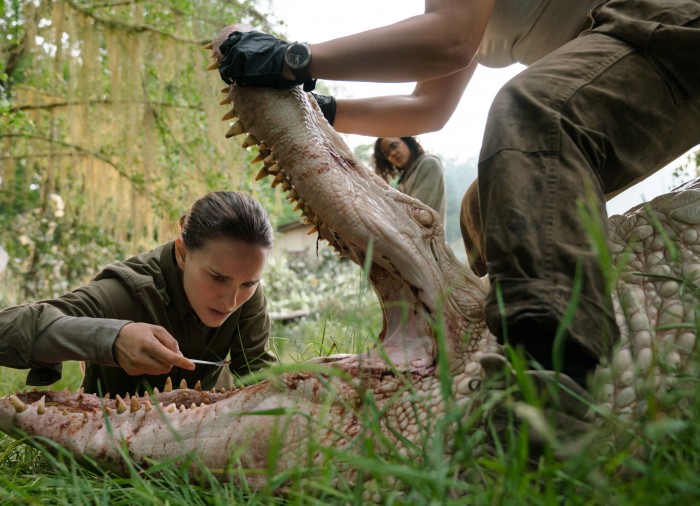 Vermischte DNA: Alligatormund tut Haifischzahn kund. (Bild: Netflix)