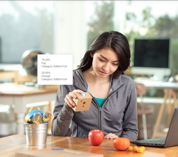 Google AIY Vision (Bild: Google)