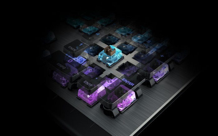 Der Schalter soll schnell reagieren und ist für LED-Beleuchtung optimiert. (Bild: Roccat)