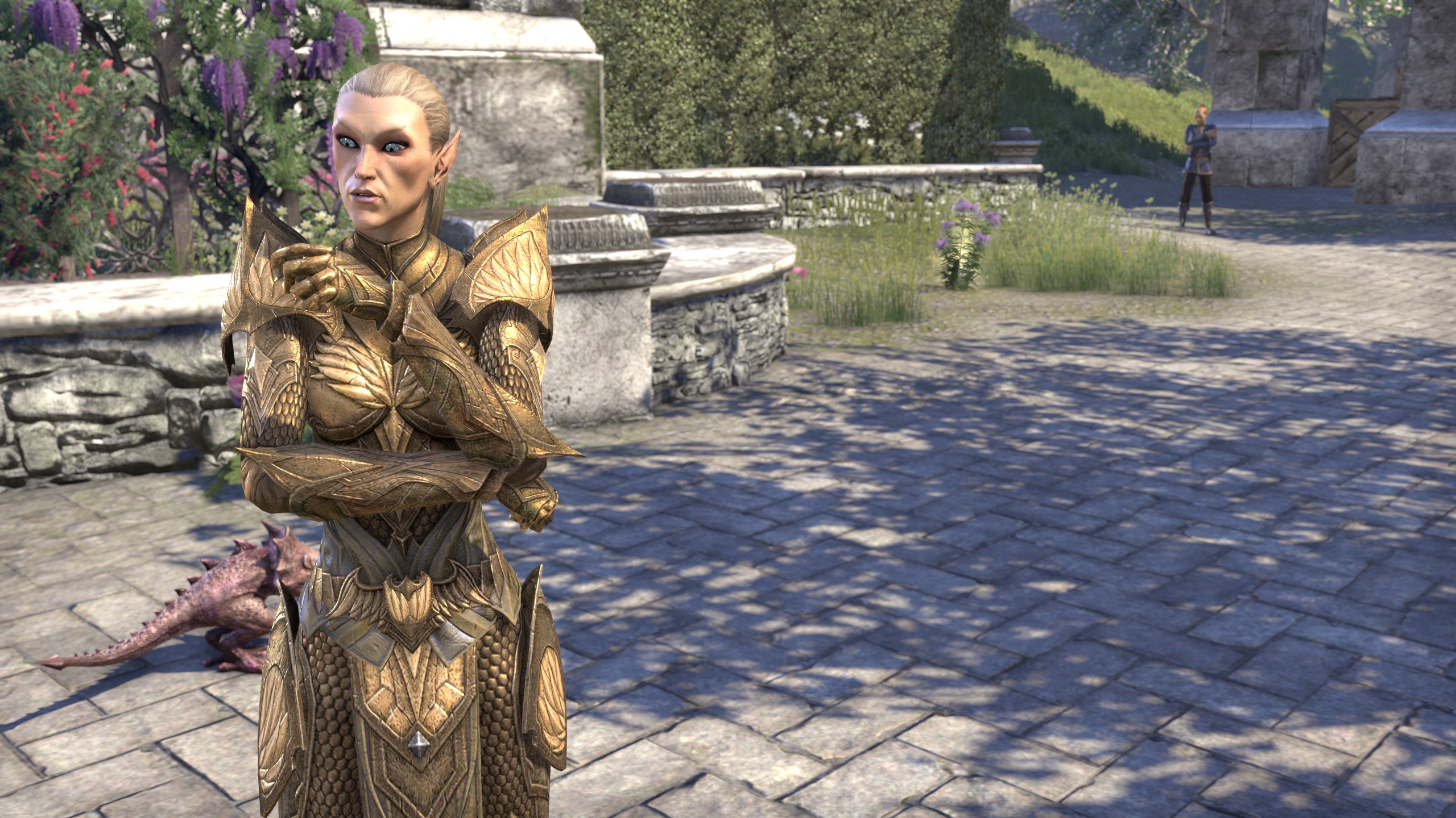 TESO Summerset im Test: (K)ein Hoch auf die Elfen - Golem.de