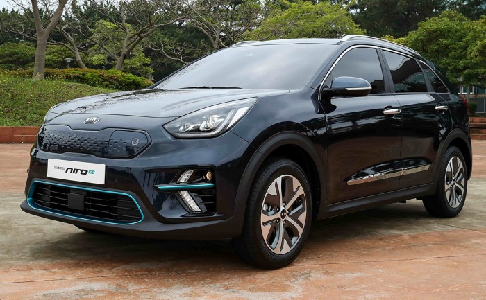 Kia Niro EV (Bild: Kia)