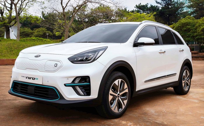 Kia Niro EV (Bild: Kia)