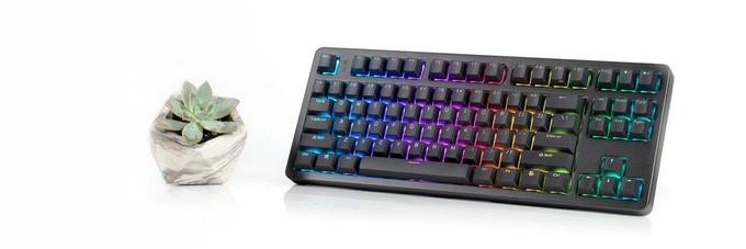 Keystone-TKL-Tastatur (Bild: Input Club)