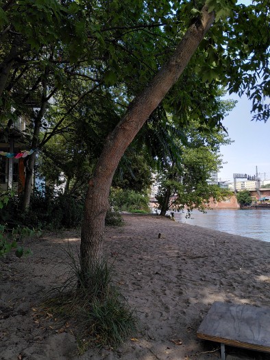 Allerdings kann die Kamera nicht mit der Konkurrenz mithalten: In dieser Situation bringt die manuell zugeschaltete HDR-Funktion beispielsweise nicht die erwartete ausgeglichene Belichtung. (Bild: Tobias Költzsch/Golem.de)