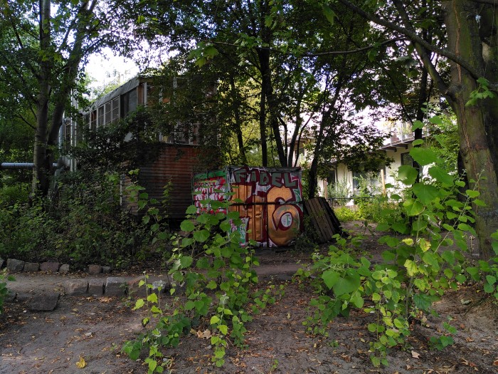 Auch in dieser Situation wirkt das Bild viel zu dunkel. (Bild: Tobias Költzsch/Golem.de)