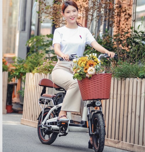 Himo C16 (Bild: Xiaomi)