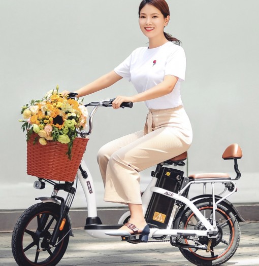 Himo C16 (Bild: Xiaomi)